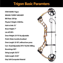 Load image into Gallery viewer, 19-70lbs Archery Right Handed Compound Bow Set