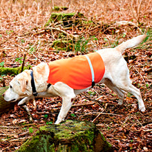 Load image into Gallery viewer, Tourbon Hunting Outdoor Dogs Vest