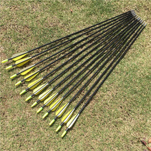 Load image into Gallery viewer, 6/12/24 Pack Fiberglass Arrows