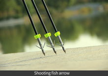 Load image into Gallery viewer, 3, 6 or 12 Pack Fishing Arrows For Recurve/Compound Bow