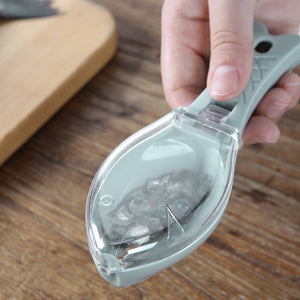Fish Scraping Scale Remover