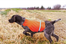 Load image into Gallery viewer, Tourbon Hunting Outdoor Dogs Vest